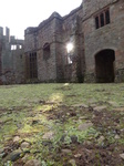 FZ035665 Sun shining onto Raglan castle courtyard.jpg